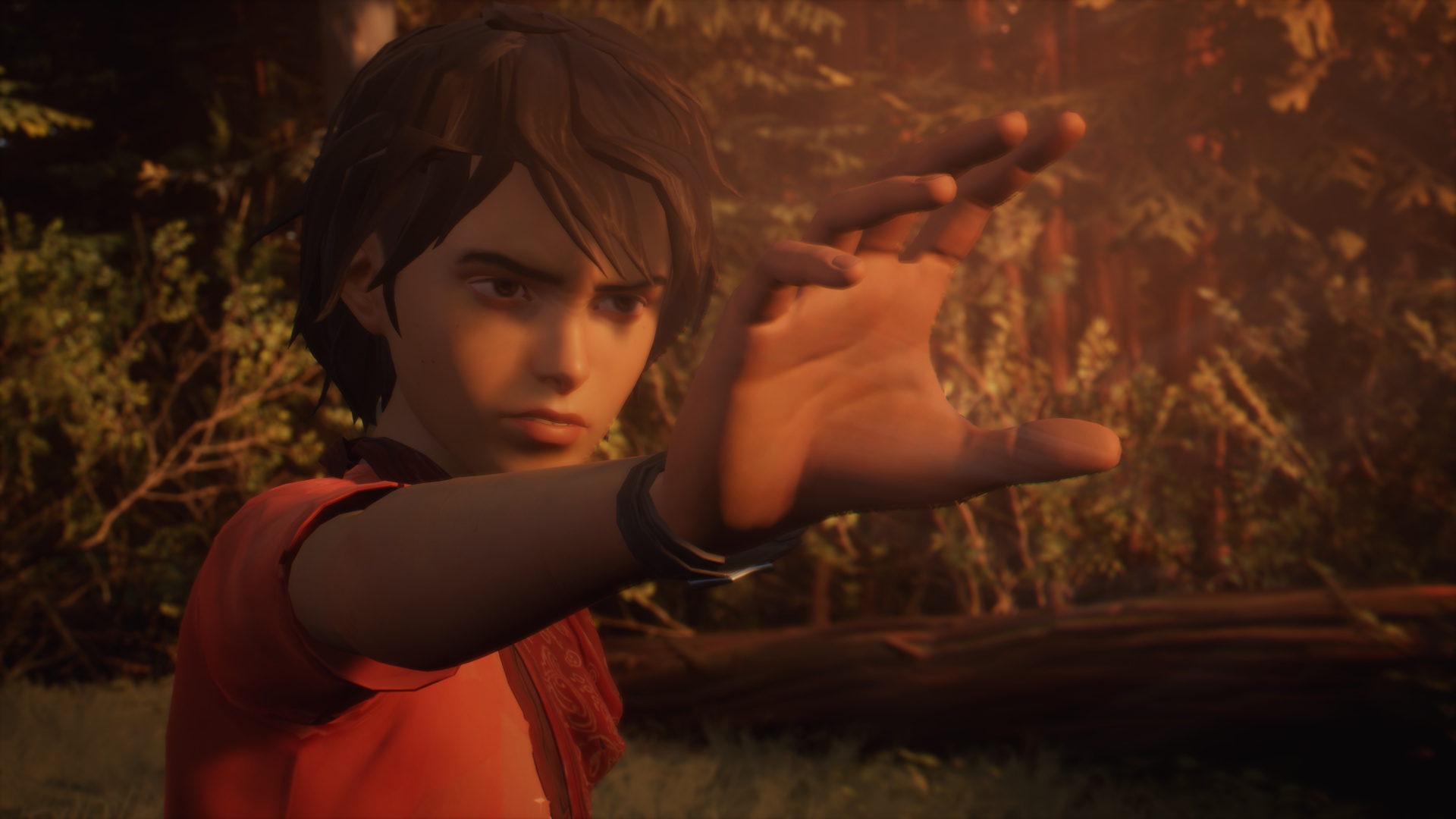 Life is Strange 2 Download Torrent 2026