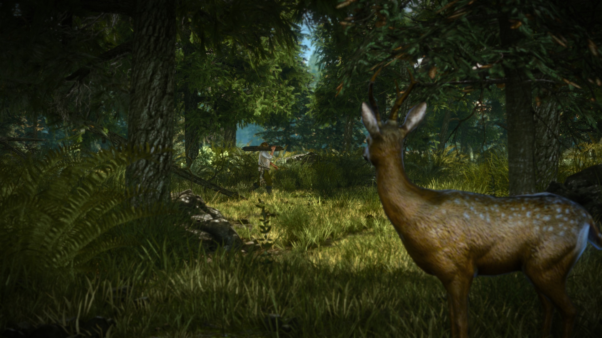 The Witcher 2: Assassins of Kings – Enhanced Edition v3.4.4.1 + Bonus Content