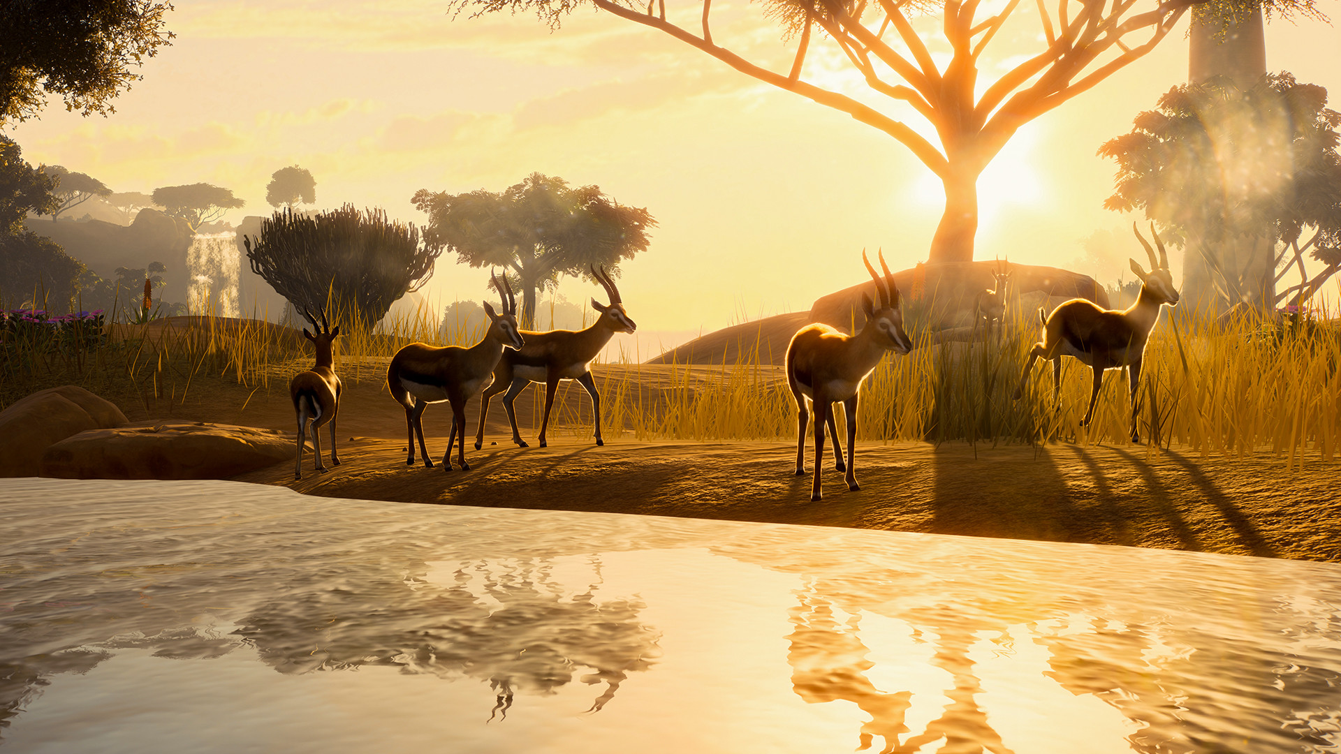Planet Zoo: Deluxe Edition