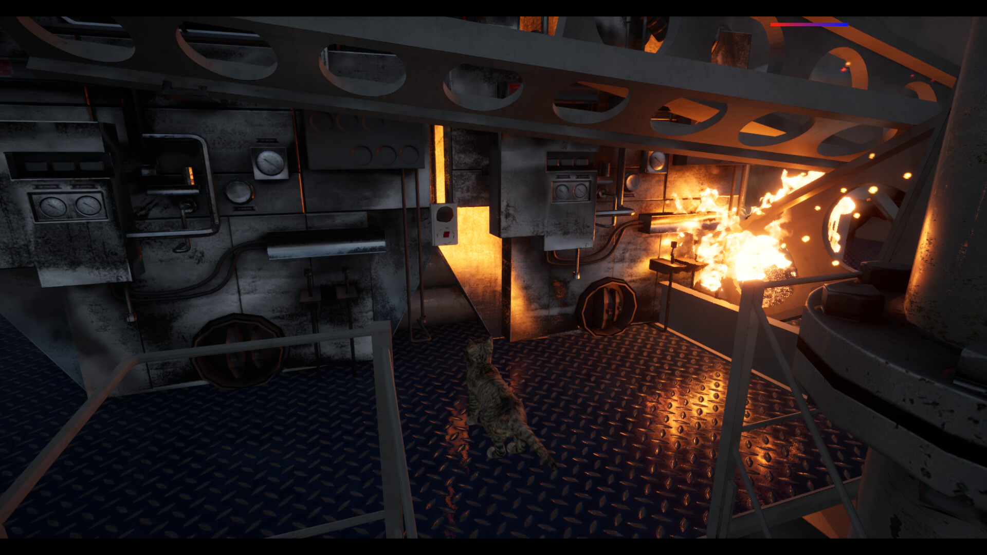 Ship's Cat 2026 Torrent