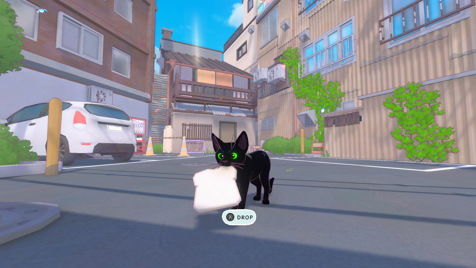 Little Kitty Big City