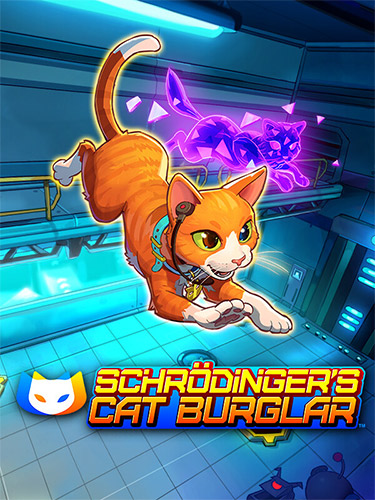 Schrodinger’s Cat Burglar