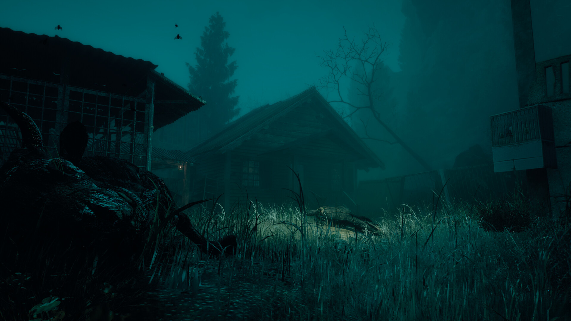 The Occultist